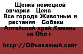 Щенки немецкой овчарки › Цена ­ 30 000 - Все города Животные и растения » Собаки   . Алтайский край,Камень-на-Оби г.